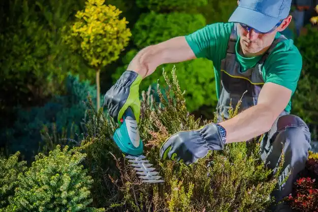 landscaping services Poland